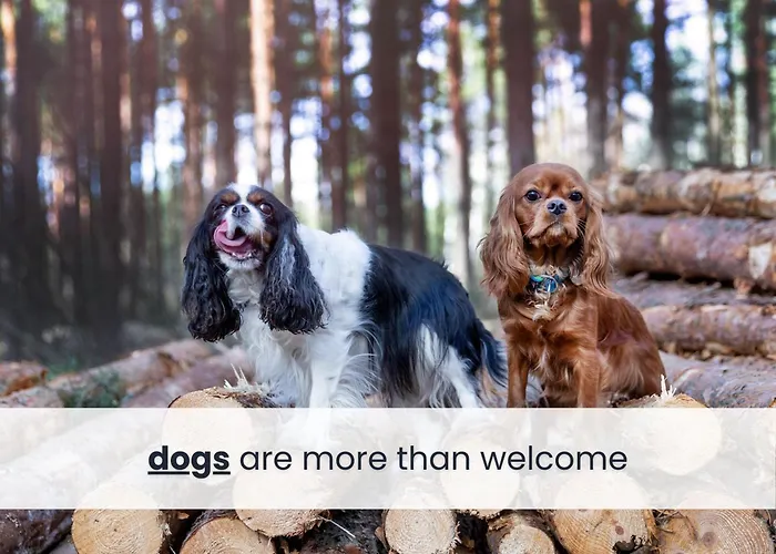 Maga Am - Free Kajak, Starlink Internet & Hunde Willkommen Holiday home *