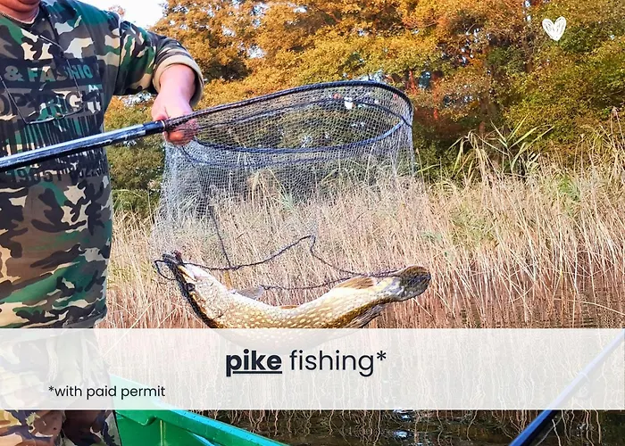 Maga Am - Free Kajak, Starlink Internet & Hunde Willkommen Holiday home